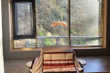 부산 만덕 덴 바스타 호텔 포레스트 - 트리플 숙소