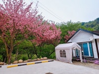 진안 - 진안 데미샘큰바위펜션 후기, 가격, 위치 - 예약