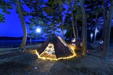 태안 바다여행파크 - 트리플 숙소