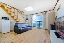 양양 - 양양 물내음솔내음애견동반펜션 후기, 가격, 위치 - 예약