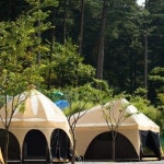 투어앤스파 가평 동물카라반펜션 투어앤스파