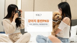 대구 - 대구 수성 더 아르코 호텔 라이온즈파크점 후기, 가격, 위치 - 예약
