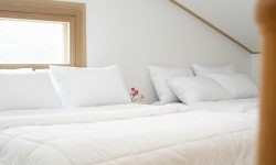 거제도 바닐라펜션 - 트리플 숙소