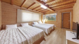 가평 깊은사나래펜션 - 트리플 숙소