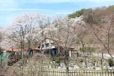 대전 - 대전 힐스테이펜션 후기, 가격, 위치 - 예약