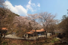 대전 - 대전 힐스테이펜션 후기, 가격, 위치 - 예약