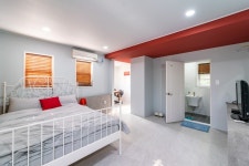 평창 백운정원애견동반펜션 - 트리플 숙소