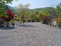 가평 올래펜션캠핑장 - 트리플 숙소