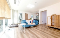 고성 설악의정원애견펜션&카페 - 트리플 숙소