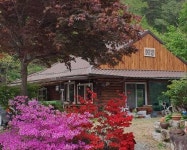 양양 홍스캐빈독채 - 트리플 숙소