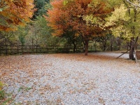 가평 물골숲계곡오토캠핑장 - 트리플 숙소