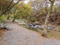 가평 물골숲계곡오토캠핑장 - 트리플 숙소