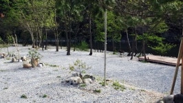 영월 별마로빌리지 펜션&캠핑 - 트리플 숙소