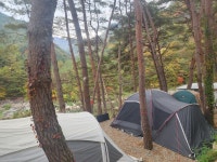 평창 리버파크 글램핑&캠핌장 - 트리플 숙소