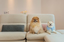 투어앤스파 경주 바사리풀빌라 투어앤스파