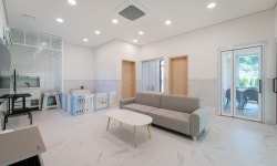 투어앤스파 가평 모모애견풀빌라 투어앤스파