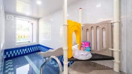 가평 - 가평 바오키즈풀빌라 후기, 가격, 위치 - 예약