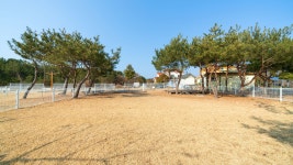 태안 - 태안 파라독스애견펜션글램핑 후기, 가격, 위치 - 예약