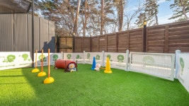 강릉 댕댕이애견펜션블루 - 트리플 숙소