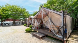 가평 라비타펜션글램핑 - 트리플 숙소