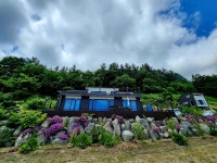 투어앤스파 울릉도 알프스펜션 투어앤스파