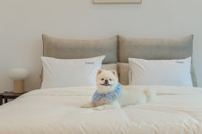 투어앤스파 경주 바사리풀빌라 투어앤스파