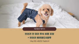 라마다 호텔 앤 스위트 서울 남대문 - 트리플 숙소