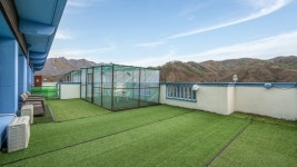 춘천 도그앤스테이펜션 - 트리플 숙소