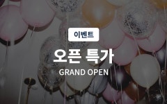 분당(정자) 호텔 디오제 - 트리플 숙소