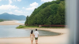 삼척 콩앤삐오션뷰펜션 - 트리플 숙소