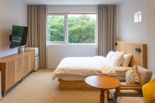 스테이플레도(Stay Pledo) - 트리플 숙소