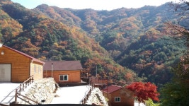 투어앤스파 강릉 신세대빌리지 투어앤스파