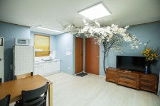 화성 제부도펜션벚꽃 - 트리플 숙소