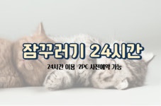 수원 - 수원역 호텔 하루 후기, 가격, 위치 - 예약