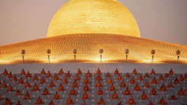 Diving swimmers to meteor showers: 12 of the most striking images of 2025 so far - BBC Culture Diving swimmers to meteor showers... 