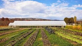 Why luxury travellers are paying to work for their dinner - BBC Travel Why luxury travellers are paying to work for their dinner