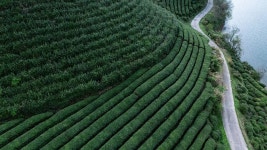 Food & Drink - BBC Travel Food & Drink