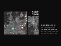 [단지계획] 사례 발표