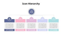 아이콘 Hierarchy 파워포인트 인포그래픽