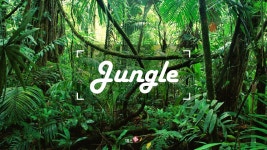 PPT 발표자료 빠르게 만드는 방법은? 정글 (Jungle) Powerpoint 템플릿으로 10분 완성 | 예스폼 PPT