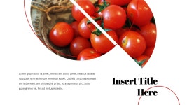 PPT 발표자료 빠르게 만드는 방법은? Tomato (토마토) 와이드 ppt 템플릿으로 10분 완성 | 예스폼 PPT