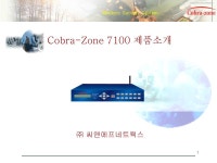 [씨앤에프네트웍스] 무인경비 시스템