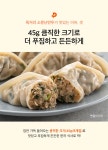 LF스퀘어 공식 온라인몰 [딜픽] 육거리소문난만두(고기) 360g 1팩