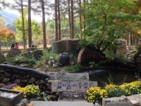 추무 강원도 아이폰 촬영 | 트립닷컴 추무 강원도 아이폰 촬영
