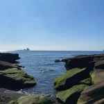 독특한 해변 
