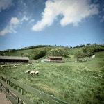 알프스같은 대관령!. #안전여행대관령 양떼목장의 포인트는. 트립닷컴 평창군 트립 가이드.