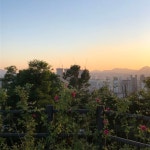 [동대문] 초여름의 배봉산. 어제 하늘이 너무 푸르고 날이 좋아서. 트립닷컴 서울 트립 가이드.