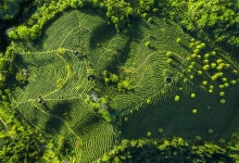 차계곡 티켓 할인, 운영 시간, 후기 [2025년] | Trip.com