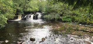 아핀 2022 인기 명소 - 아핀 트립 가이드 - 아핀 인기 명소 입장권 추천, 호텔, 가 볼 만한 곳, 식사, 맛집 - 트립닷컴