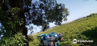 Juvignac 2022 인기 명소 - Juvignac 트립 가이드 - Juvignac 인기 명소 입장권 추천, 호텔, 가 볼 만한 곳, 식사, 맛집 - 트립닷컴